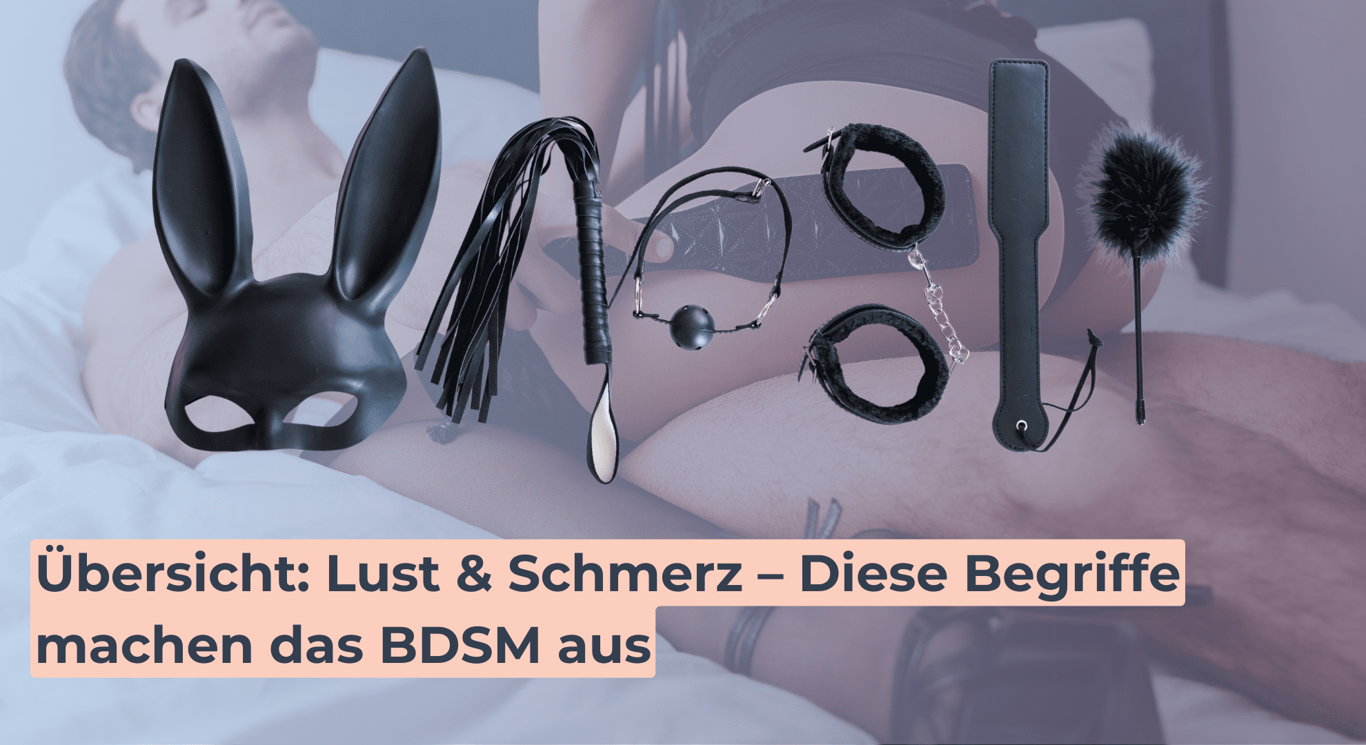 Übersicht_ Lust & Schmerz – Diese Begriffe machen das BDSM aus