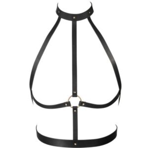 img_47547_e9db481ac11c66c8f8d44e00dcc9af9a_1